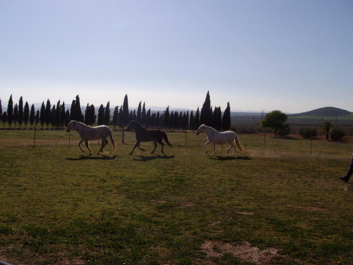 Cortijo Ferradores Humilladero Exterior foto